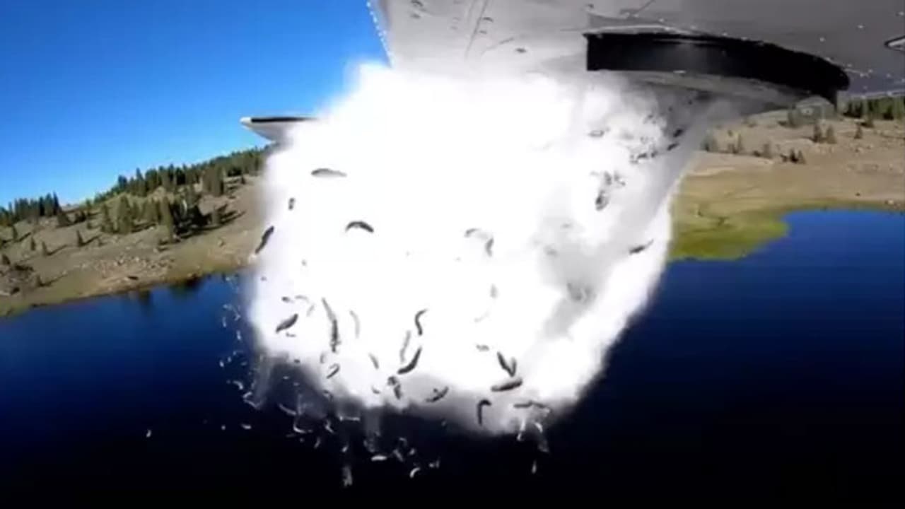 സഞ്ചാരികള്ക്കായി 'മീന് മഴ'; വര്ഷം തോറുമുള്ള ഈ പ്രതിഭാസത്തിന്റെ കാരണമിതാണ് സഞ്ചാരികള്ക്കായി 'മീന് മഴ'; വര്ഷം തോറുമുള്ള ഈ പ്രതിഭാസത്തിന്റെ കാരണമിതാണ്