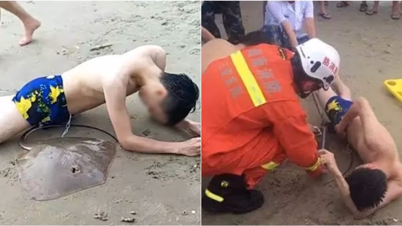 పాపం.. ఈతకి వెళ్తే.. పురుషాంగాన్ని పట్టేసిన సముద్రజీవి పాపం.. ఈతకి వెళ్తే.. పురుషాంగాన్ని పట్టేసిన సముద్రజీవి