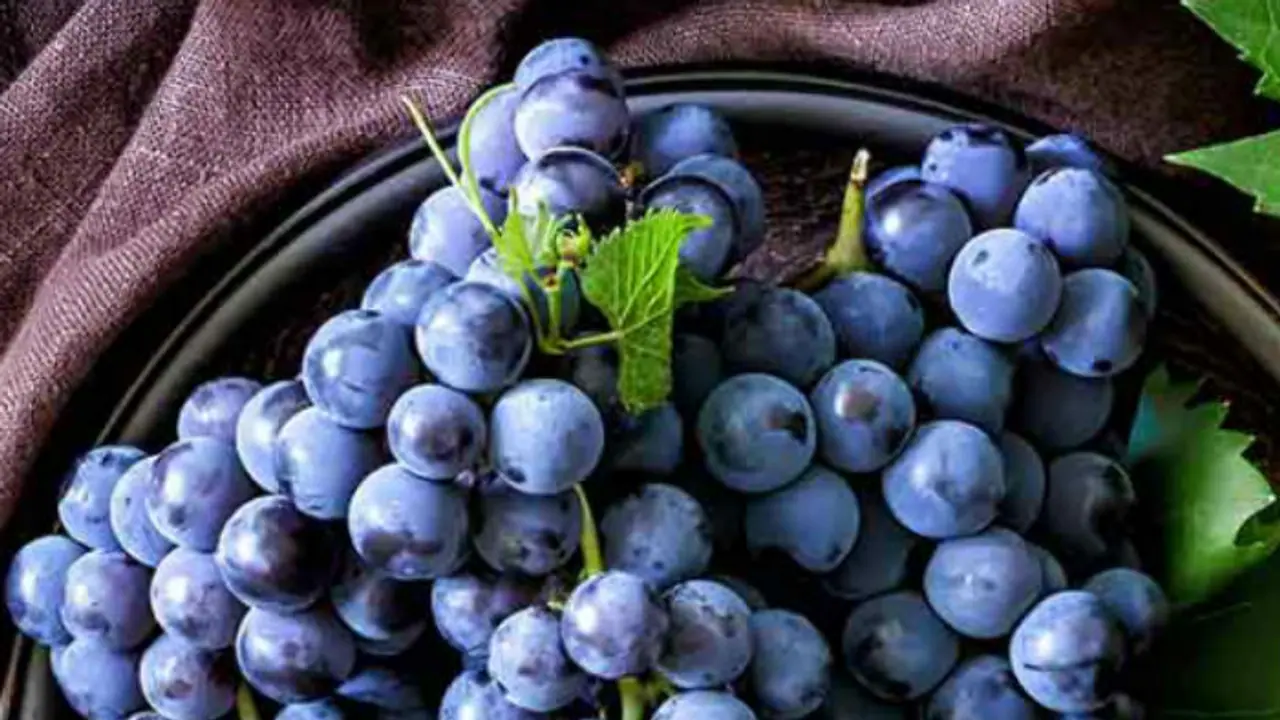 മുന്തിരി കഴിക്കും മുമ്പ് വെള്ളത്തില് മുക്കിവയ്ക്കേണ്ടതുണ്ടോ? മുന്തിരി കഴിക്കും മുമ്പ് വെള്ളത്തില് മുക്കിവയ്ക്കേണ്ടതുണ്ടോ?