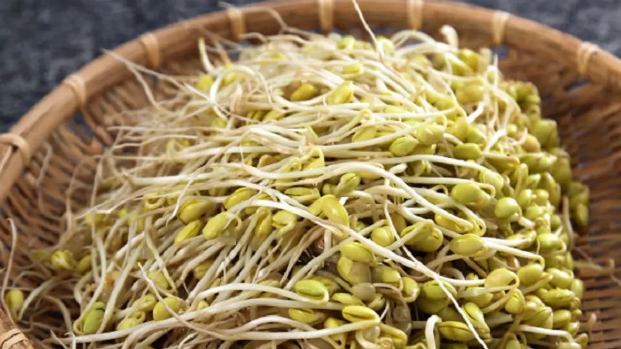 ಮೊಳಕೆ ಕಾಳುಗಳಿಂದೇನು ಲಾಭ?