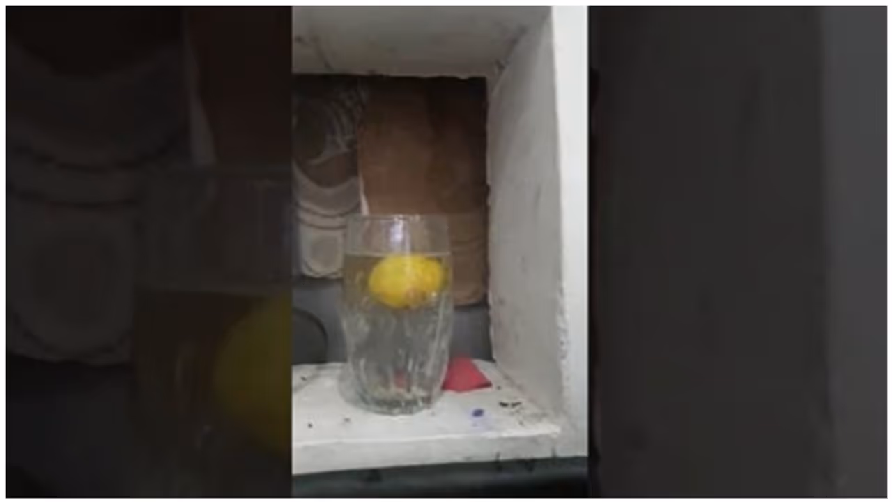 சனிக்கிழமை மட்டும் இதை செய்துடுங்க....ஒரே ஒரு எழுமிச்சை செய்யும் "ஐஸ்வர்யம்" பாருங்க..! சனிக்கிழமை மட்டும் இதை செய்துடுங்க....ஒரே ஒரு எழுமிச்சை செய்யும் "ஐஸ்வர்யம்" பாருங்க..!