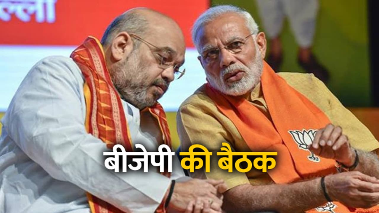 2019 से पहले पार्टी अध्यक्ष चुनाव को लेकर बीजेपी का बड़ा फ़ैसला, ये होंगे अध्यक्ष