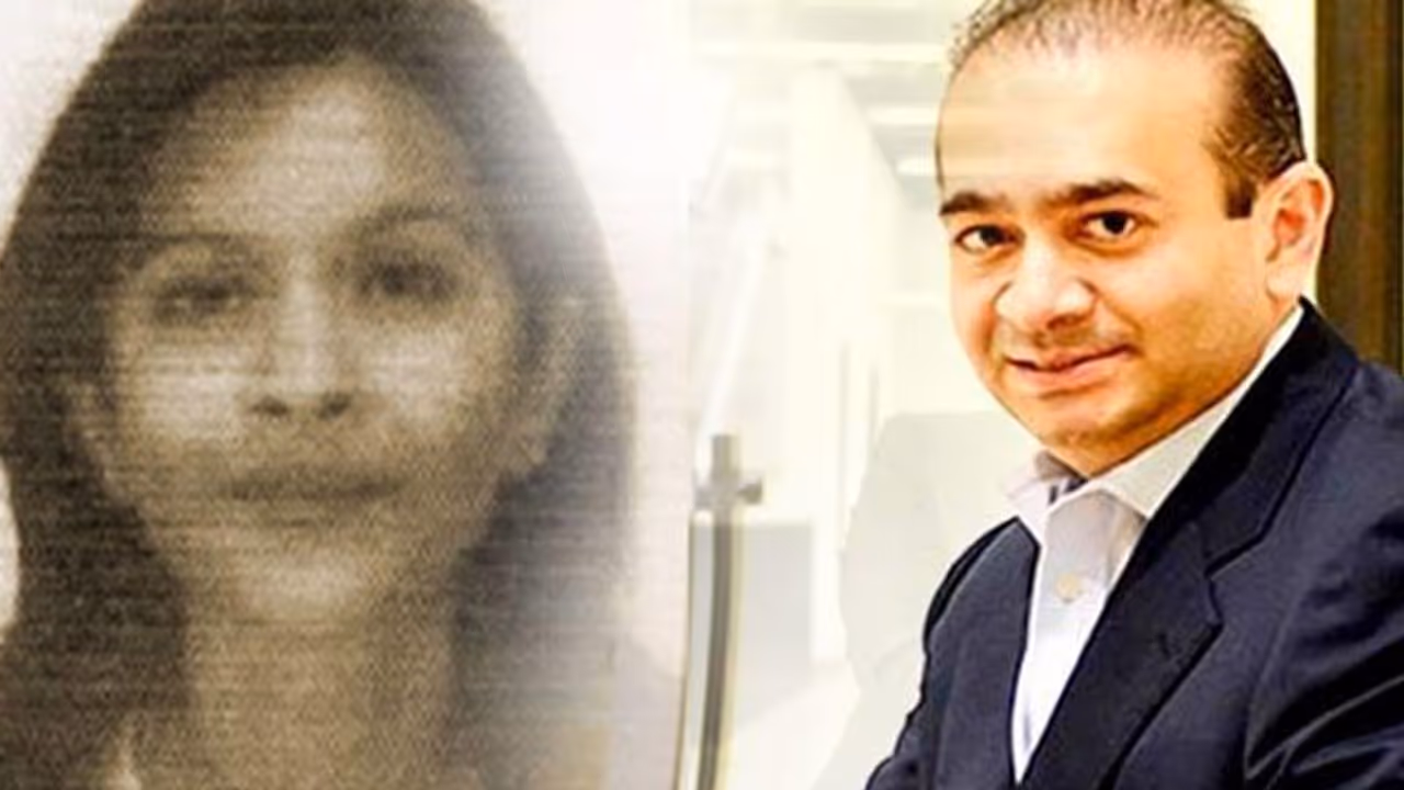 நிரவ் மோடியின் சகோதரிக்கு ரெட் கார்னர் நோட்டீஸ்! நிரவ் மோடியின் சகோதரிக்கு ரெட் கார்னர் நோட்டீஸ்!