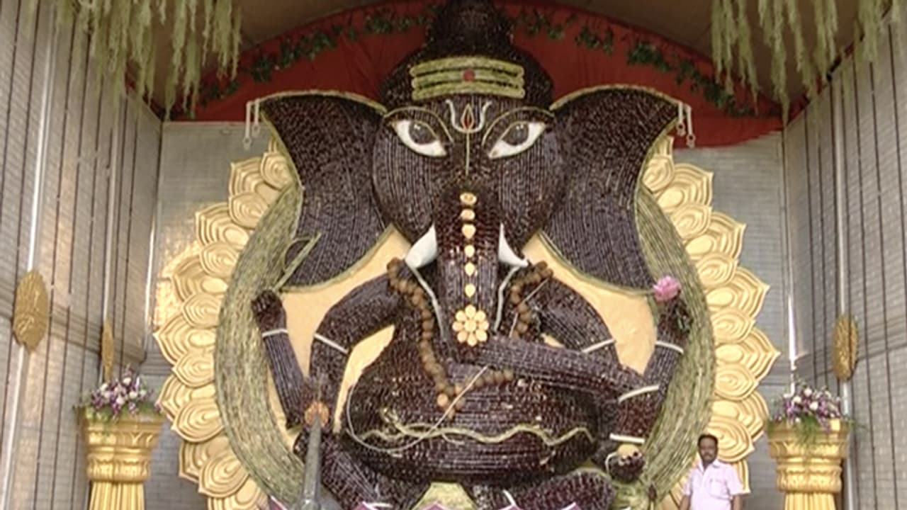 Video: Bengaluru gears up for Ganesh Chaturthi with enormous 2000kg laddu Video: Bengaluru gears up for Ganesh Chaturthi with enormous 2000kg laddu