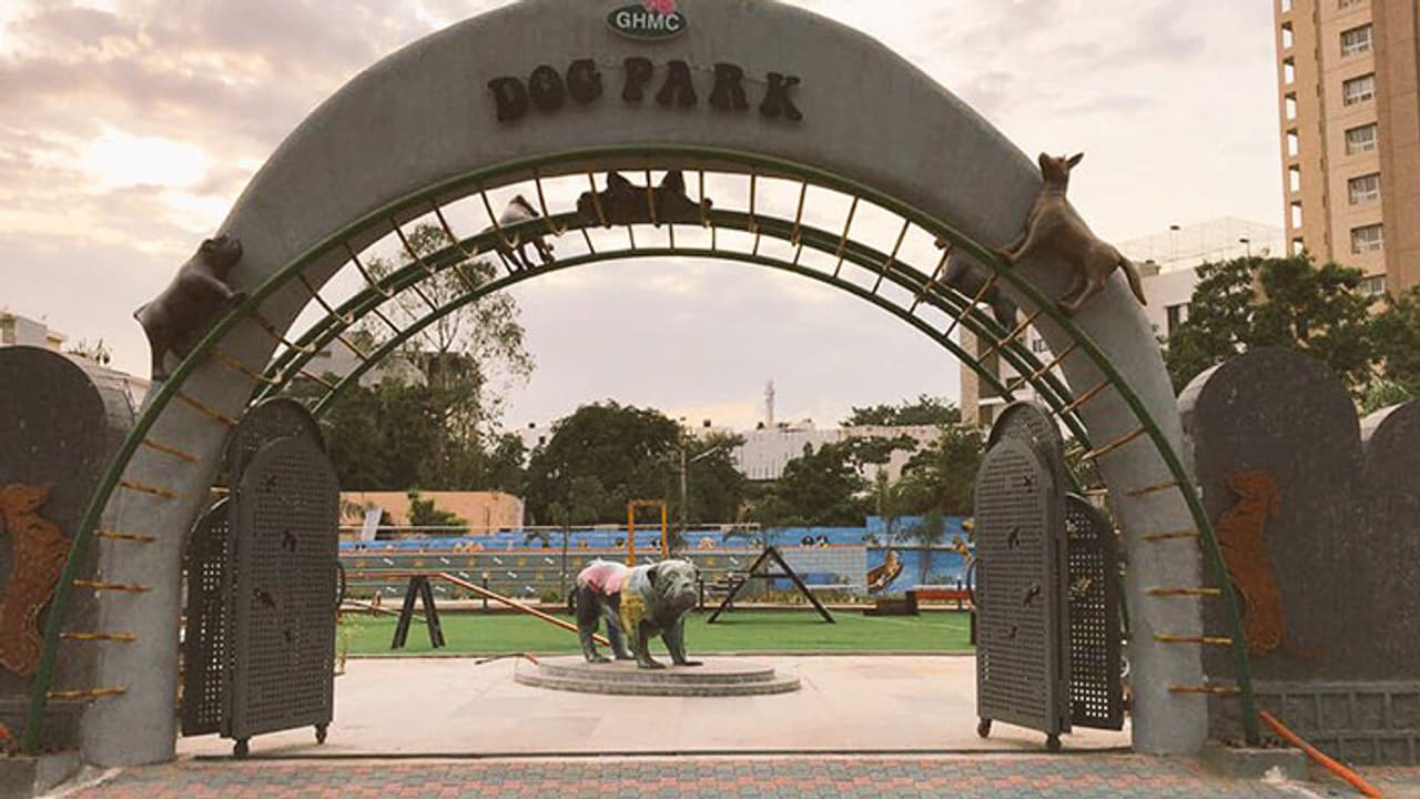 Dogs of Hyderabad get a posh Kennel club certified park worth ₹1.1Cr Dogs of Hyderabad get a posh Kennel club certified park worth ₹1.1Cr