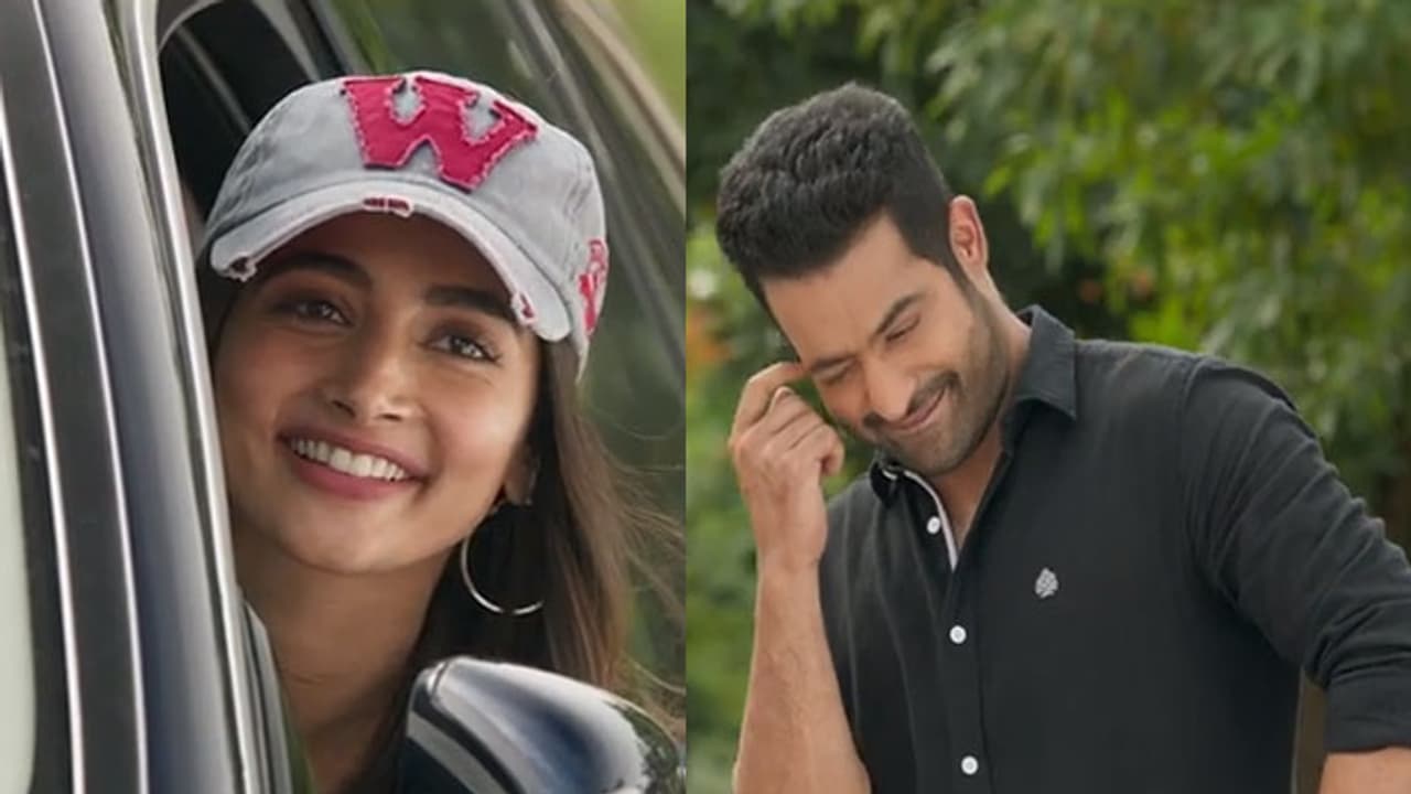 టఫ్ గా కనిపిస్తారు కానీ మాట వింటారు.. తారక్ తో పూజా! టఫ్ గా కనిపిస్తారు కానీ మాట వింటారు.. తారక్ తో పూజా!