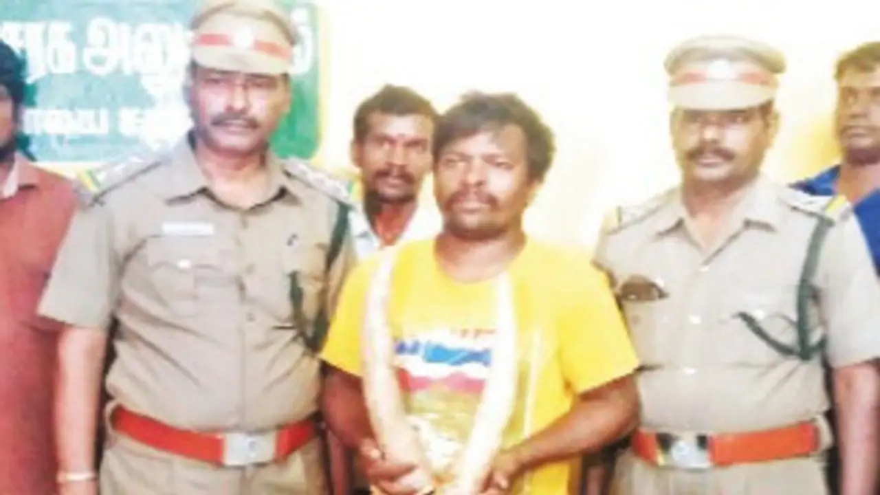 நடுரோட்டில் கூவி கூவி விற்கப்பட்ட யானை தந்தம்! எப்படி கிடைத்தது? வெளியான அதிர்ச்சி தகவல்! நடுரோட்டில் கூவி கூவி விற்கப்பட்ட யானை தந்தம்! எப்படி கிடைத்தது? வெளியான அதிர்ச்சி தகவல்!