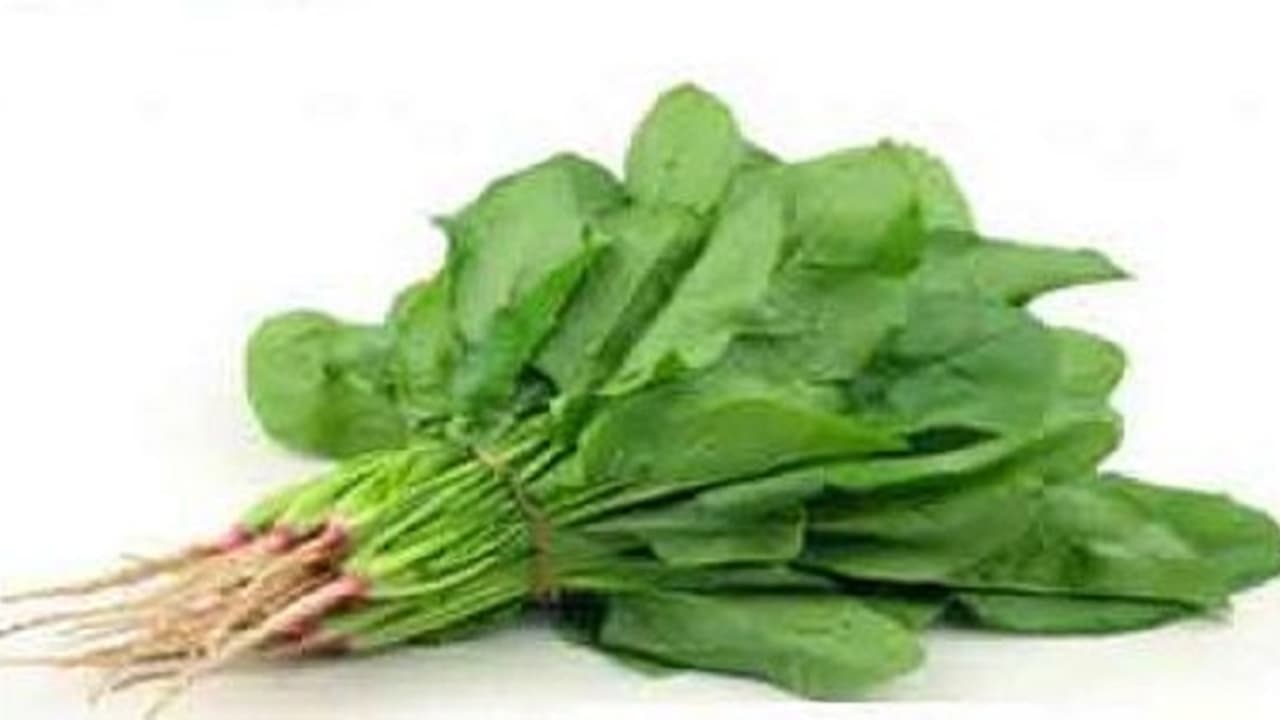 কোষ্ঠকাঠিন্য় থেকে ক্য়ানসার প্রতিরোধ, পালং শাকের অনেক গুণ কোষ্ঠকাঠিন্য় থেকে ক্য়ানসার প্রতিরোধ, পালং শাকের অনেক গুণ