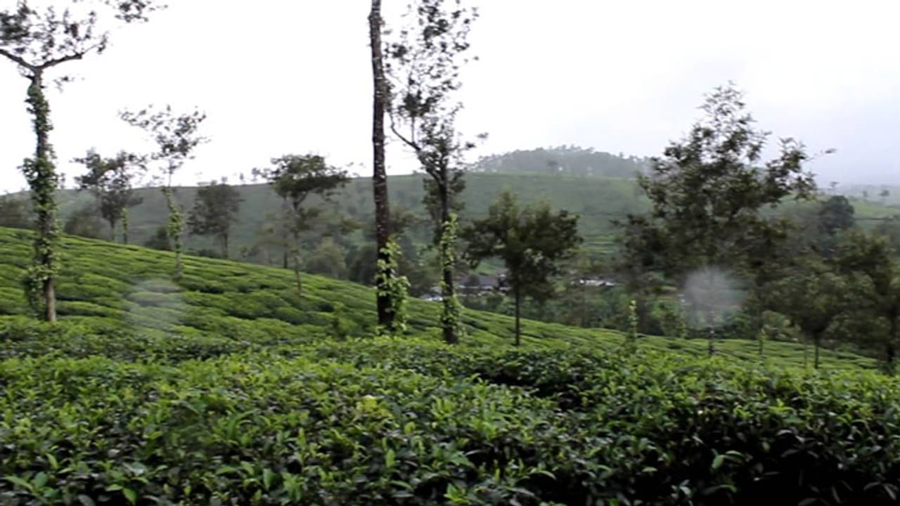 ഹാരിസണ് കേസിൽ സംസ്ഥാന സര്ക്കാരിന് തിരിച്ചടി;സര്ക്കാരിന്റെ ഹര്ജി സുപ്രീംകോടതിയും തള്ളി ഹാരിസണ് കേസിൽ സംസ്ഥാന സര്ക്കാരിന് തിരിച്ചടി;സര്ക്കാരിന്റെ ഹര്ജി സുപ്രീംകോടതിയും തള്ളി