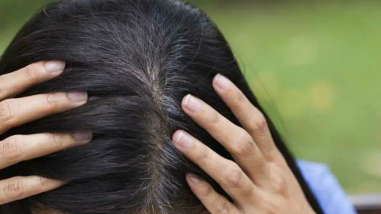 ಬಿಎಂಟಿಸಿ ಬಸ್ನಲ್ಲಿ ಕೂದಲು ಕಳ್ಳರಿದ್ದಾರೆ : ಯುವತಿಯರೇ ಎಚ್ಚರ! ಬಿಎಂಟಿಸಿ ಬಸ್ನಲ್ಲಿ ಕೂದಲು ಕಳ್ಳರಿದ್ದಾರೆ : ಯುವತಿಯರೇ ಎಚ್ಚರ!