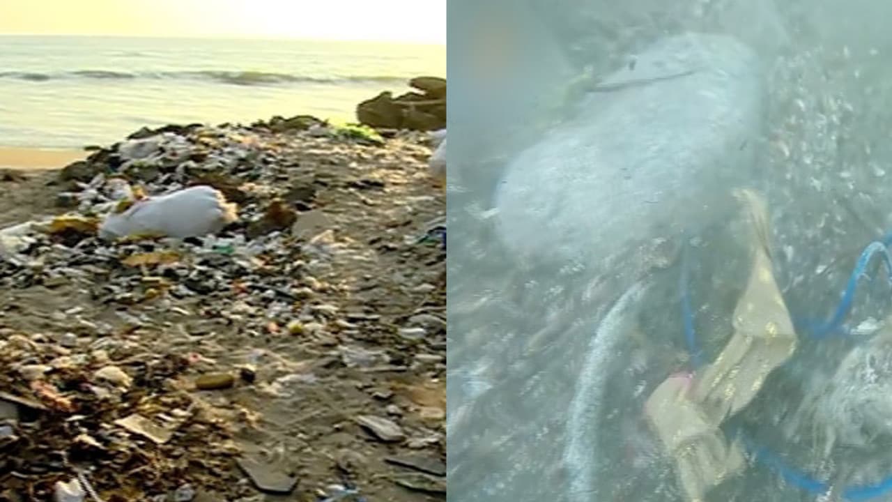 പ്രളയം ബാധിച്ചത് കരയെ മാത്രമല്ല; മഹാപ്രളയം കടലിനും ഭീഷണിയായി പ്രളയം ബാധിച്ചത് കരയെ മാത്രമല്ല; മഹാപ്രളയം കടലിനും ഭീഷണിയായി