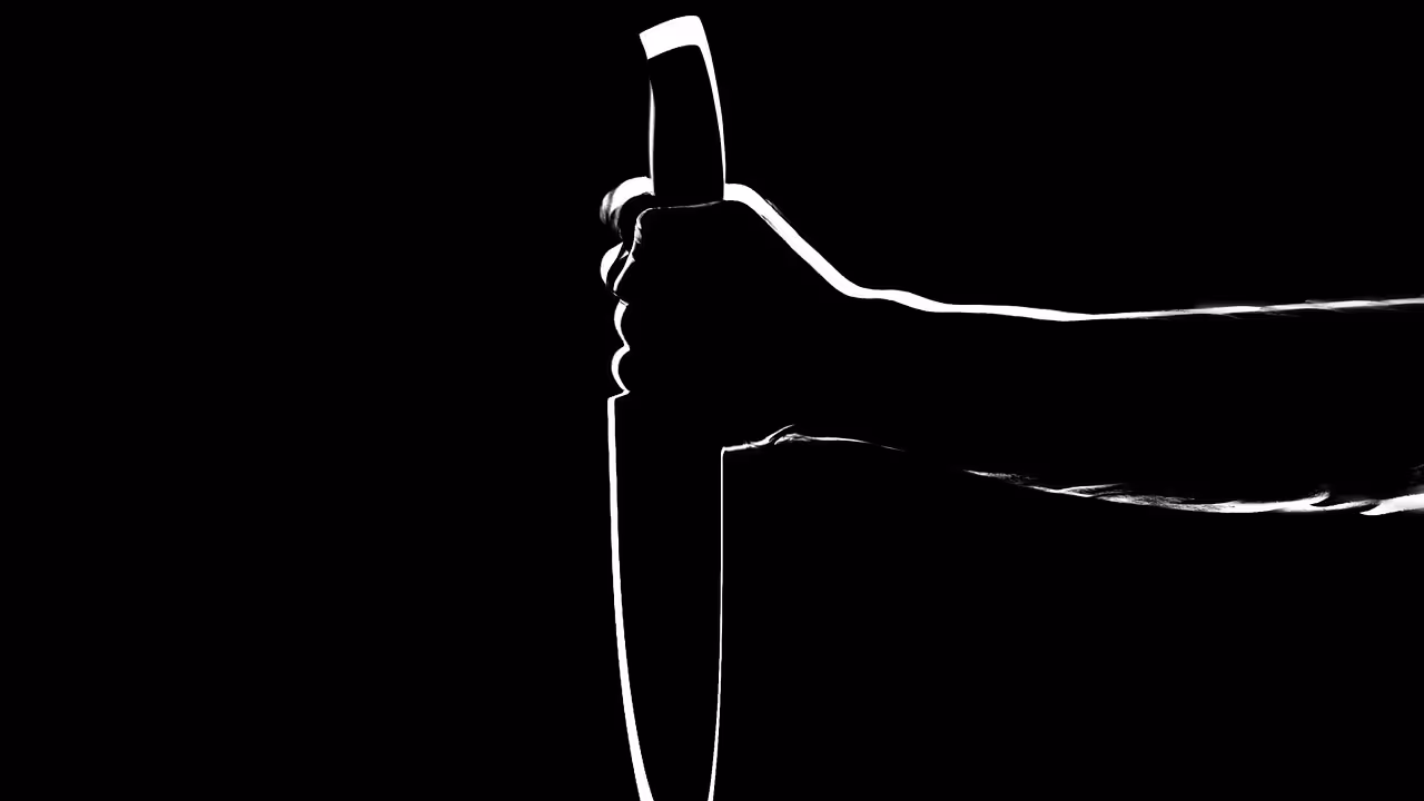 Pakistan troops slit BSF jawan's throat; high alert sounded along border