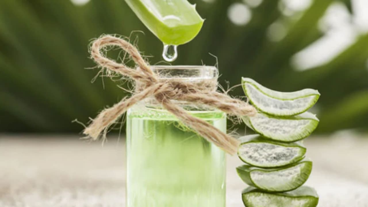 চুলের যত্নে অ্যালোভেরা! জানুন কী উপায় পাবেন নজর কারা চুল