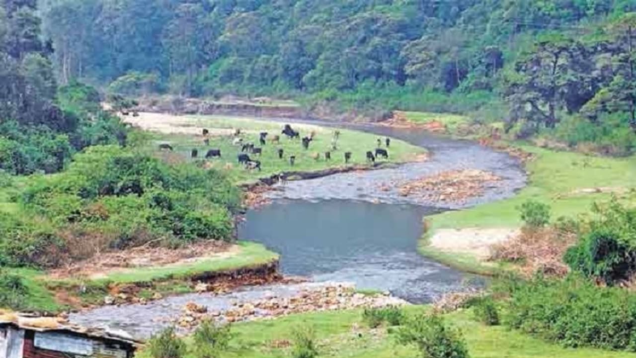 போன மாசம் மழை, வெள்ளம் !! இந்த மாசம் கடும் வறட்சி !! கேரளாவை வாட்டி எடுக்கும் வெயில் …. போன மாசம் மழை, வெள்ளம் !! இந்த மாசம் கடும் வறட்சி !! கேரளாவை வாட்டி எடுக்கும் வெயில் ….
