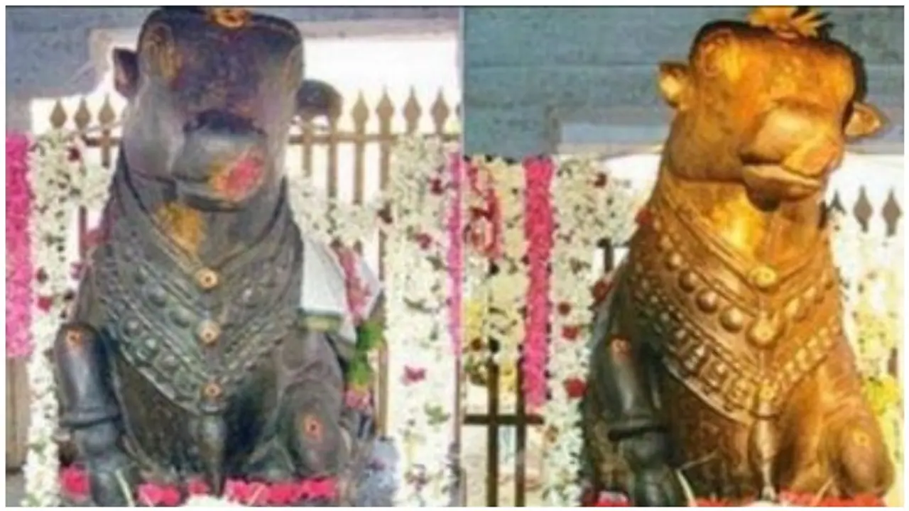 தங்க நிறத்திற்கு மாறிய திருவண்ணாமலை நந்தி சிலை..! பக்தர்கள் ஆச்சர்யம்...! தங்க நிறத்திற்கு மாறிய திருவண்ணாமலை நந்தி சிலை..! பக்தர்கள் ஆச்சர்யம்...!