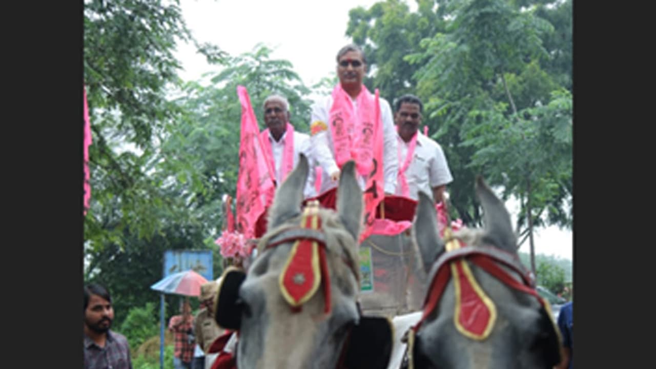 కాంగ్రెస్‌కు ఓటేస్తే...: ఏపీకి ప్రత్యేక హోదాపై హారీష్ ట్విస్ట్