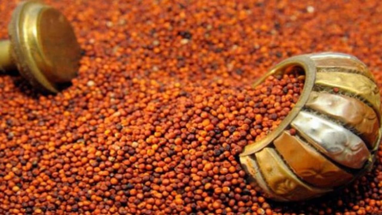 ರಾಗಿ ಬಲ್ಲವನಿಗೆ ರೋಗವಿಲ್ಲ ರಾಗಿ ಬಲ್ಲವನಿಗೆ ರೋಗವಿಲ್ಲ