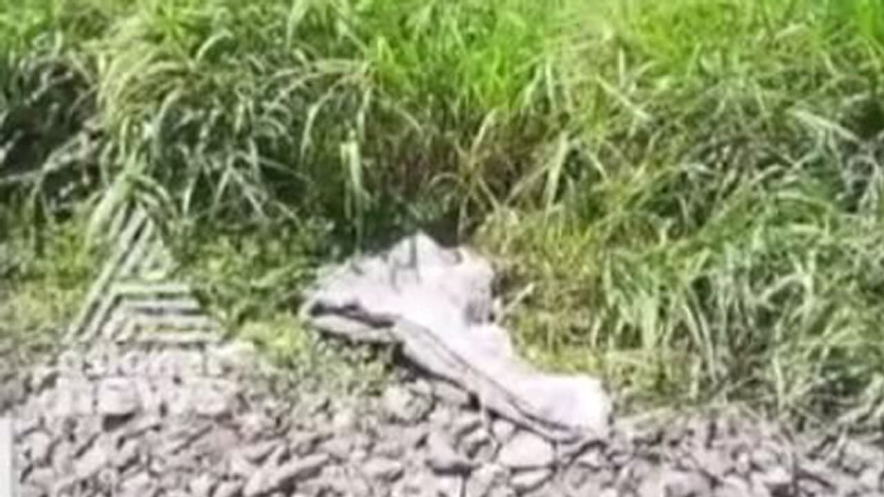 തൃശൂരില് റെയില്വേ മേല്പാലത്തിനു താഴെ ഒന്നരവയസുള്ള പെണ്കുട്ടിയുടെ മൃതദേഹം കണ്ടെത്തി തൃശൂരില് റെയില്വേ മേല്പാലത്തിനു താഴെ ഒന്നരവയസുള്ള പെണ്കുട്ടിയുടെ മൃതദേഹം കണ്ടെത്തി