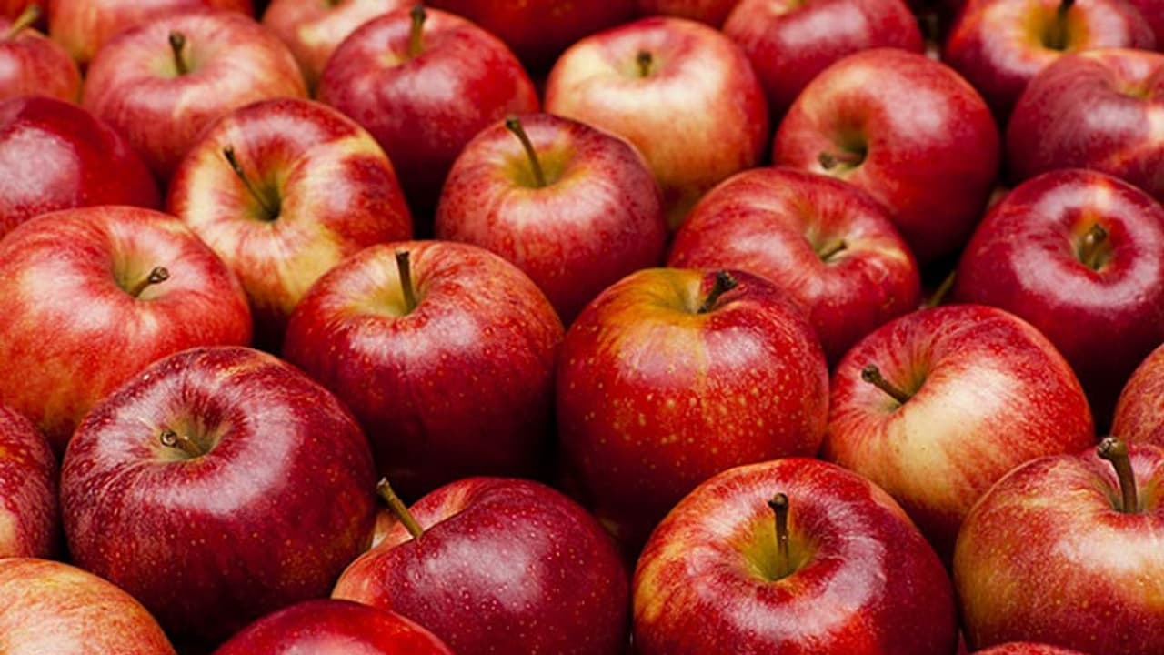 ദിവസവും ഒരു ആപ്പിൾ കഴിക്കൂ; ഗുണങ്ങൾ ചെറുതൊന്നുമല്ല ദിവസവും ഒരു ആപ്പിൾ കഴിക്കൂ; ഗുണങ്ങൾ ചെറുതൊന്നുമല്ല