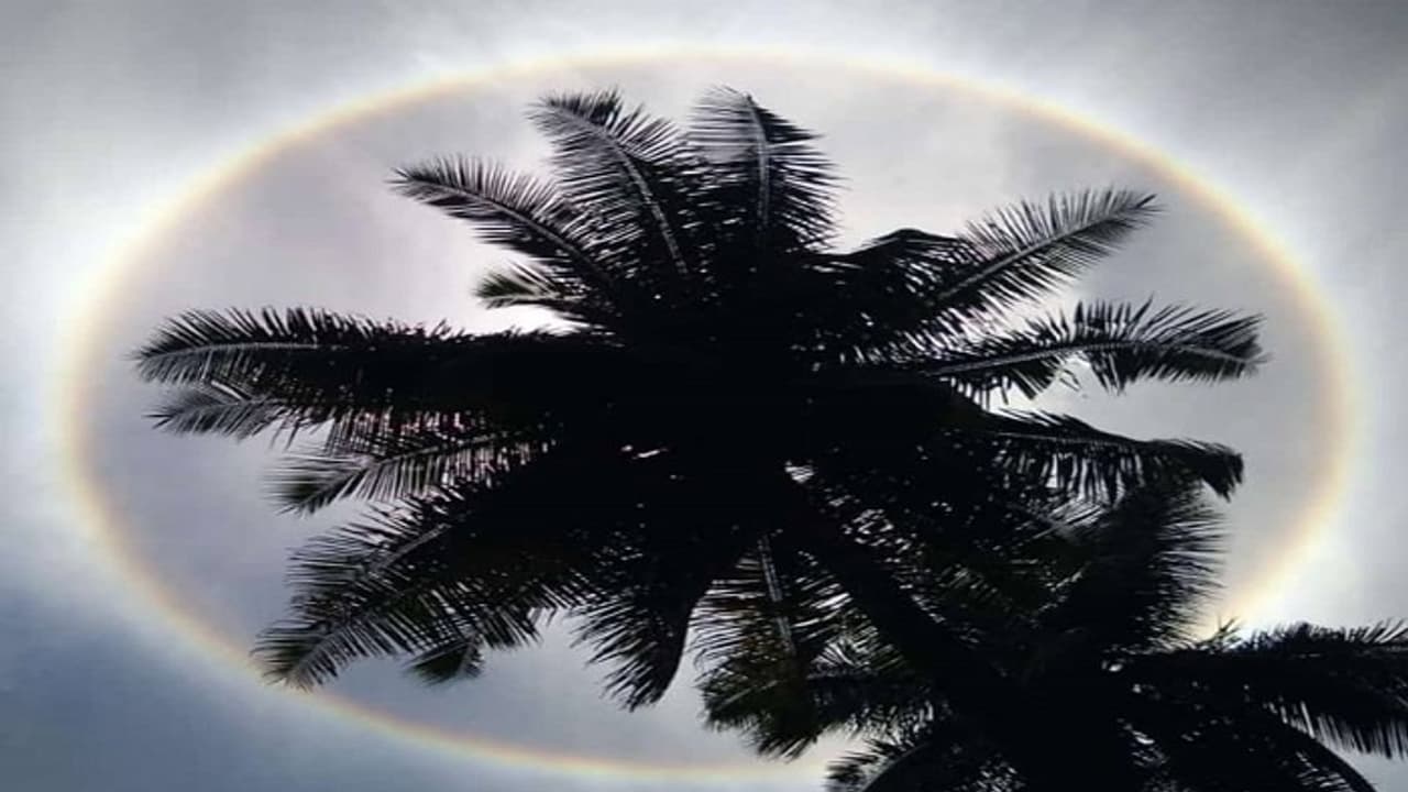 ಸೂರ್ಯನಿಗೆ ಬಣ್ಣದುಂಗುರ, ಶಿವಮೊಗ್ಗದ ಖಗೋಳ ವಿಸ್ಮಯಕ್ಕೆ ಕಾರಣವೇನು? ಸೂರ್ಯನಿಗೆ ಬಣ್ಣದುಂಗುರ, ಶಿವಮೊಗ್ಗದ ಖಗೋಳ ವಿಸ್ಮಯಕ್ಕೆ ಕಾರಣವೇನು?