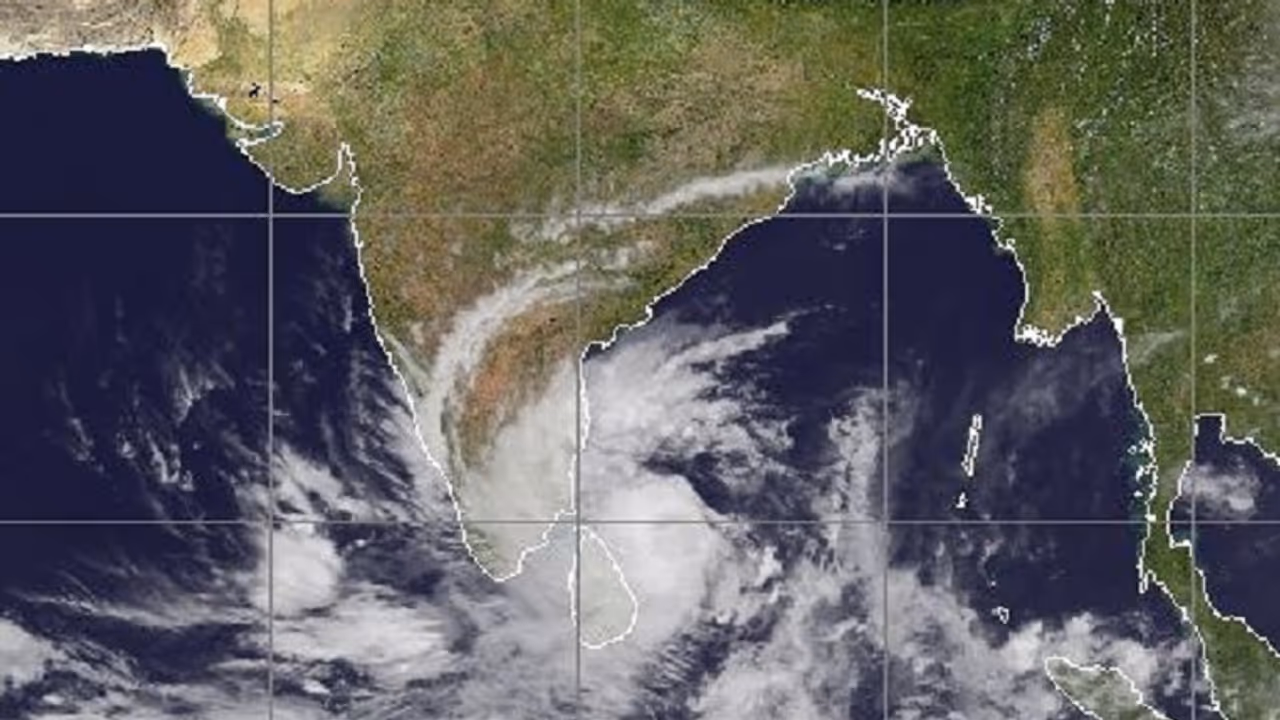 വീണ്ടും മഴ ശക്തമാവുന്നു; മൂന്ന് ജില്ലകളിൽ റെഡ് അലർട്ട് വീണ്ടും മഴ ശക്തമാവുന്നു; മൂന്ന് ജില്ലകളിൽ റെഡ് അലർട്ട്