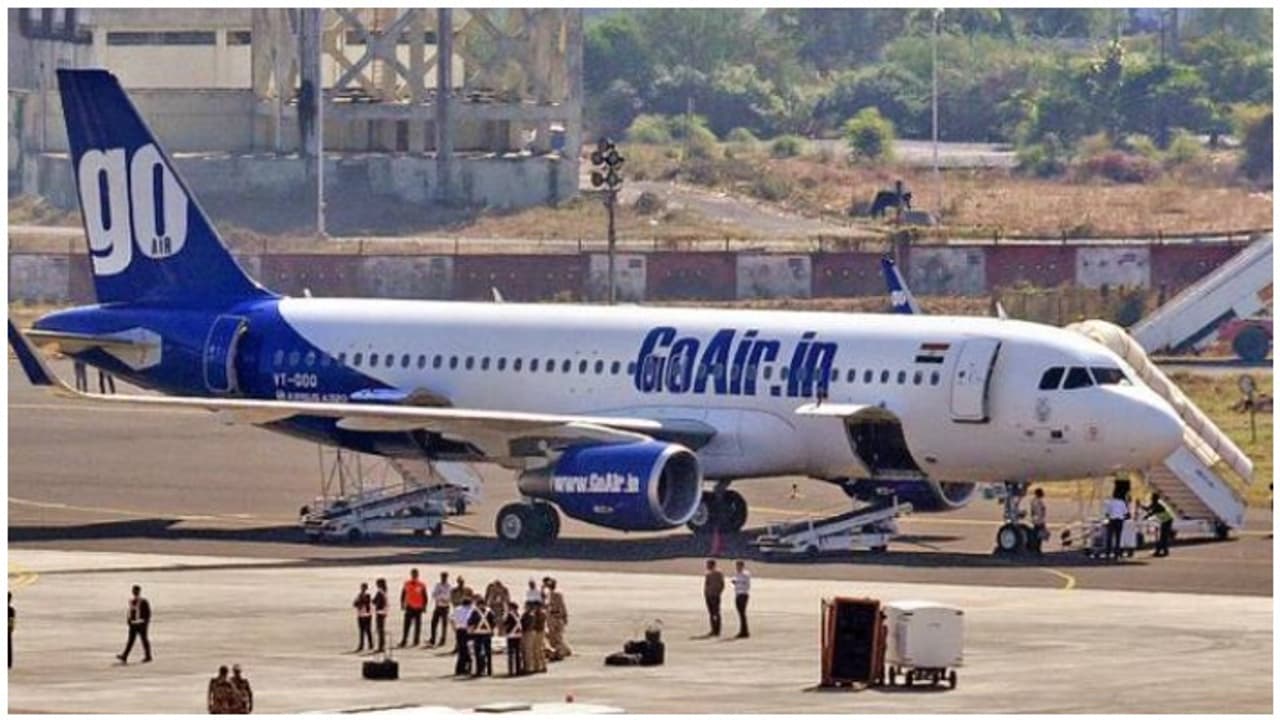 ఎయిర్పోర్టులో రన్ వే పై వీధి కుక్క.. గో ఫస్ట్ విమాన ప్రయాణం డిలే ఎయిర్పోర్టులో రన్ వే పై వీధి కుక్క.. గో ఫస్ట్ విమాన ప్రయాణం డిలే