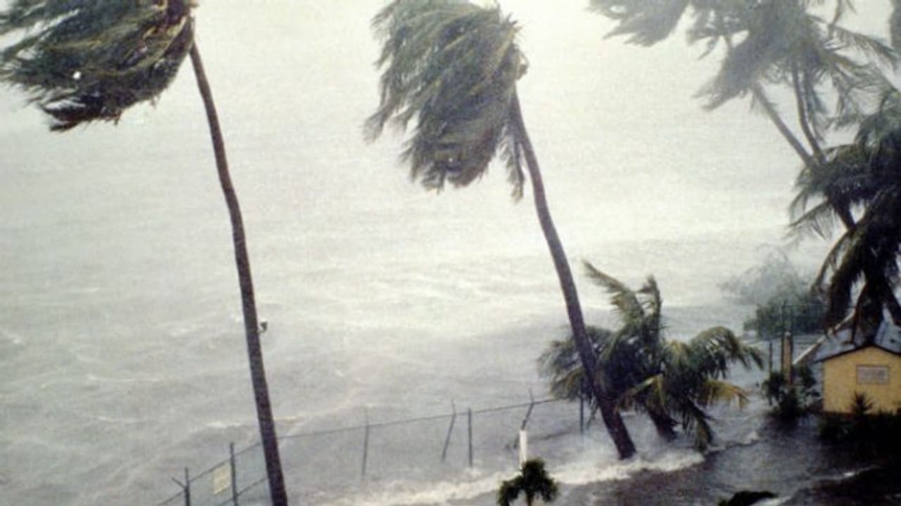 അറബിക്കടലില് ന്യൂനമര്ദ്ദം; 36 മണിക്കൂറിനുള്ളില് ചുഴലിക്കാറ്റായി മാറാം അറബിക്കടലില് ന്യൂനമര്ദ്ദം; 36 മണിക്കൂറിനുള്ളില് ചുഴലിക്കാറ്റായി മാറാം