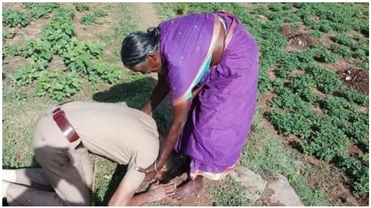 வயலிலேயே தன் தாய் காலில் விழுந்த சப் இன்ஸ்பெக்டர்...! வைரல் புகைப்படம்..! வயலிலேயே தன் தாய் காலில் விழுந்த சப் இன்ஸ்பெக்டர்...! வைரல் புகைப்படம்..!