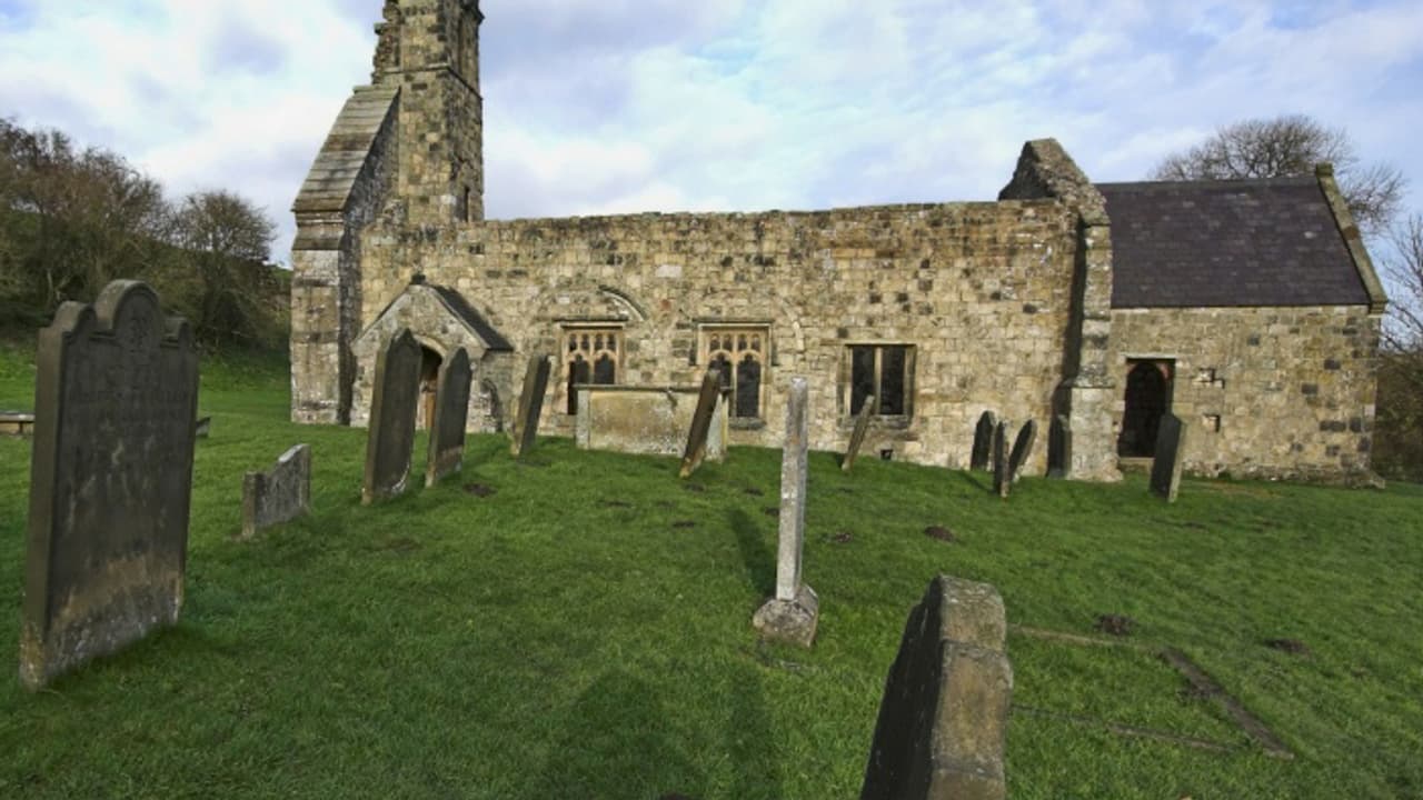 ഗവേഷകരെ അമ്പരപ്പിച്ച് കുഴിമാടത്തിലെ അസ്ഥികളില് നിറയെ മുറിവുകള്; അതിനു പിന്നിലെ സത്യം ഗവേഷകരെ അമ്പരപ്പിച്ച് കുഴിമാടത്തിലെ അസ്ഥികളില് നിറയെ മുറിവുകള്; അതിനു പിന്നിലെ സത്യം