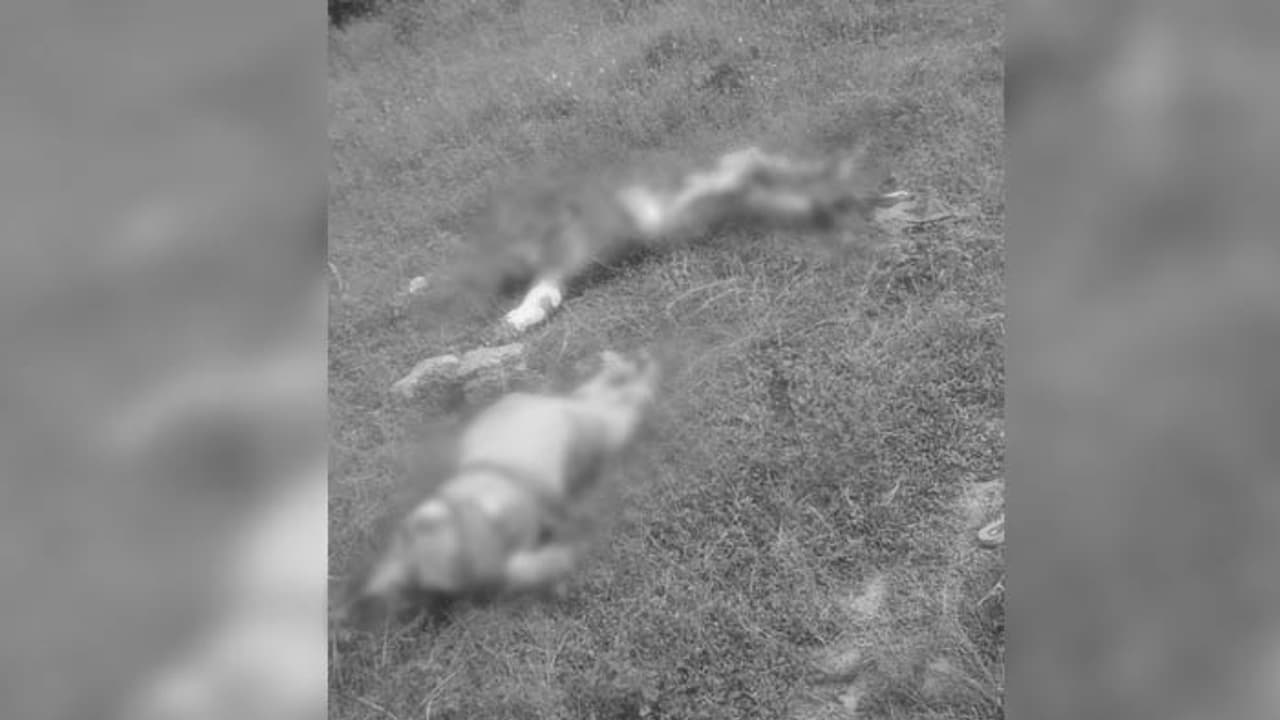 జగిత్యాలలో కలకలం.. కుళ్లిన స్థితిలో స్త్రీ పురుషుల మృతదేహాలు జగిత్యాలలో కలకలం.. కుళ్లిన స్థితిలో స్త్రీ పురుషుల మృతదేహాలు