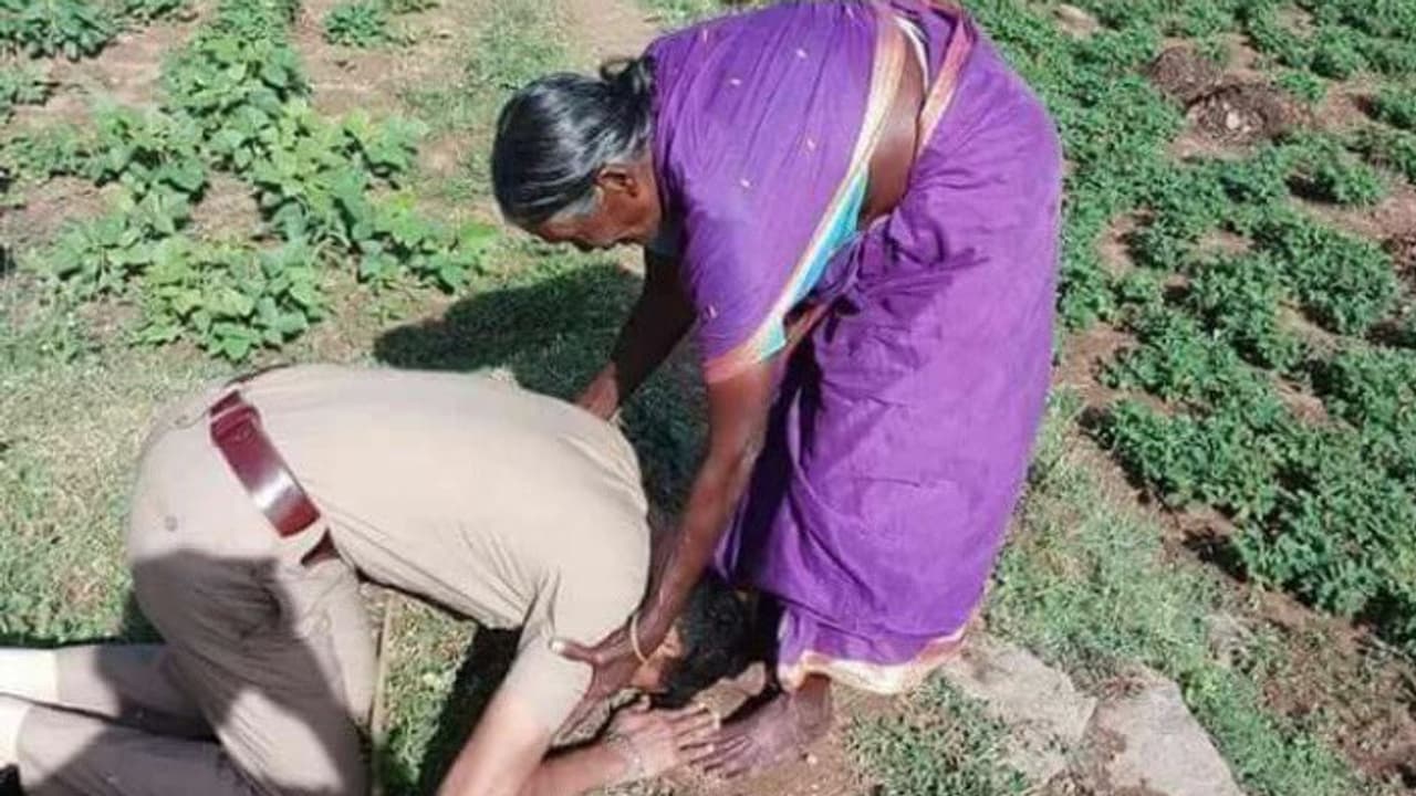 ഈ അമ്മയുടെയും, മകന്റെയും ചിത്രം വൈറലാവാനുള്ള കാരണം ഇതാണ് ഈ അമ്മയുടെയും, മകന്റെയും ചിത്രം വൈറലാവാനുള്ള കാരണം ഇതാണ്