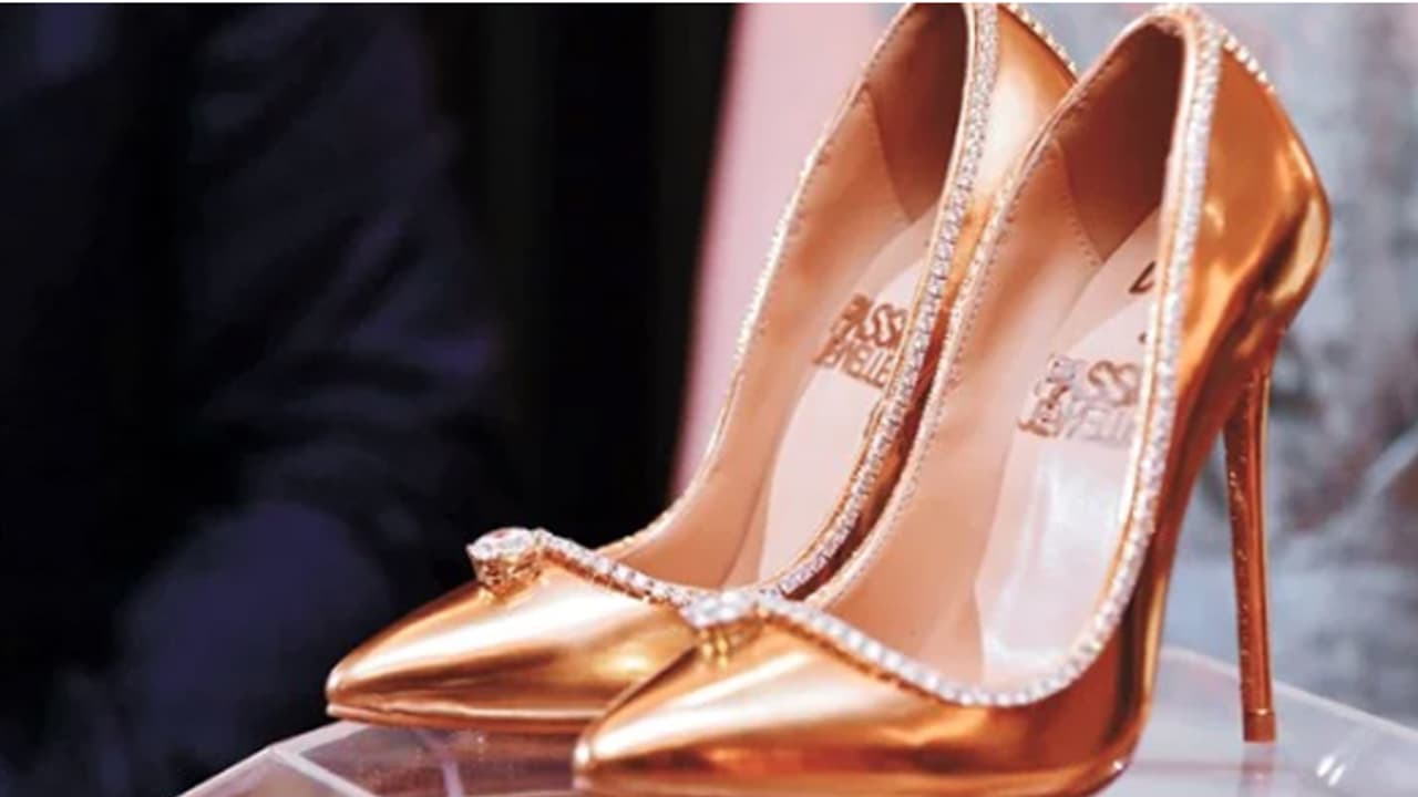 ഒരു ചെരുപ്പിന്റെ വില 1.70 കോടി ഡോളര്; കാരണം ഇതാണ് ഒരു ചെരുപ്പിന്റെ വില 1.70 കോടി ഡോളര്; കാരണം ഇതാണ്