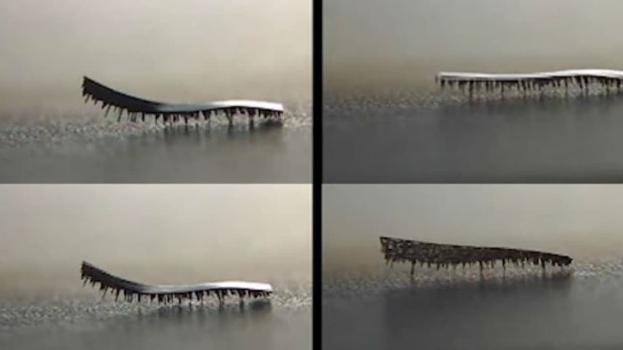 ശരീരത്തിനകത്ത് അങ്ങോട്ടുമിങ്ങോട്ടും ഓടിനടക്കുന്ന ഒരു പുഴു! ശരീരത്തിനകത്ത് അങ്ങോട്ടുമിങ്ങോട്ടും ഓടിനടക്കുന്ന ഒരു പുഴു!