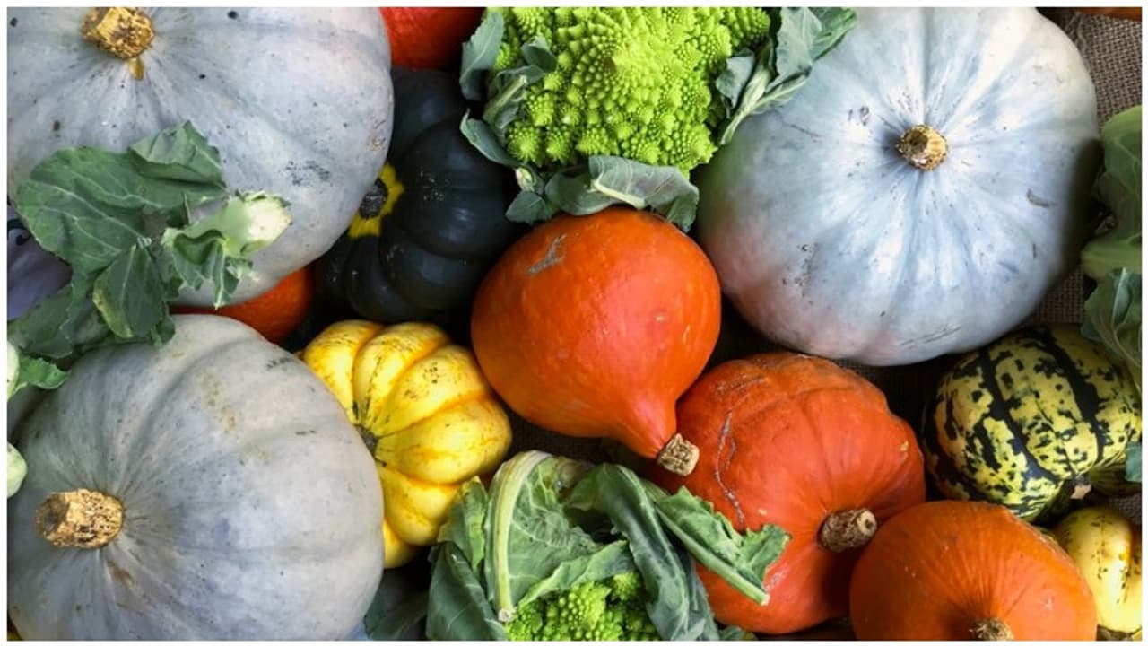 கடினமான உடற்பயிற்சி வேண்டாம்! உடல் எடையைக் குறைக்க இந்த ஒரு காய் மட்டும் போதும்! கடினமான உடற்பயிற்சி வேண்டாம்! உடல் எடையைக் குறைக்க இந்த ஒரு காய் மட்டும் போதும்!