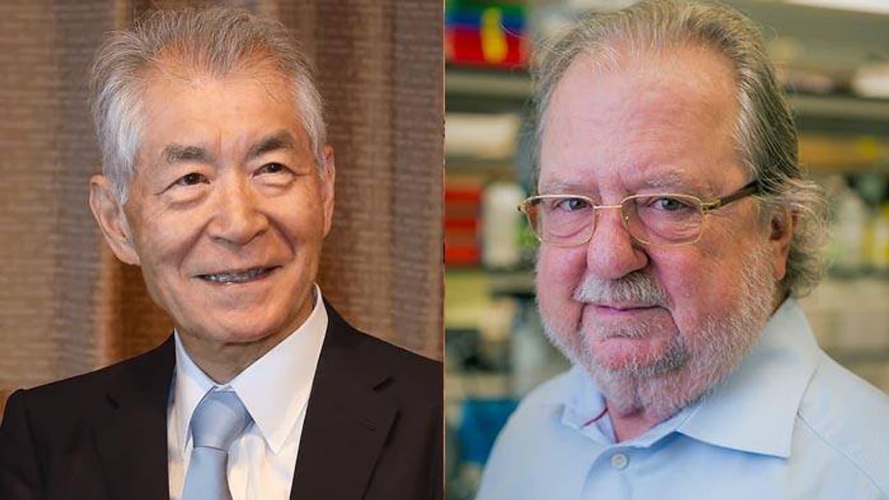 വൈദ്യശാസ്ത്ര നൊബേല് പങ്കിട്ട് ജെയിംസ് പി.ആലിസണും ടസുക്കോ ഹോഞ്ചോക്കും വൈദ്യശാസ്ത്ര നൊബേല് പങ്കിട്ട് ജെയിംസ് പി.ആലിസണും ടസുക്കോ ഹോഞ്ചോക്കും