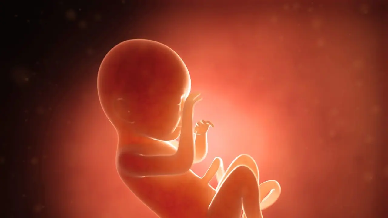 পুত্রসন্তান লাভের আশায় ৭ বছরে ৭বার গর্ভপাত করানো হল গৃহবধুর পুত্রসন্তান লাভের আশায় ৭ বছরে ৭বার গর্ভপাত করানো হল গৃহবধুর