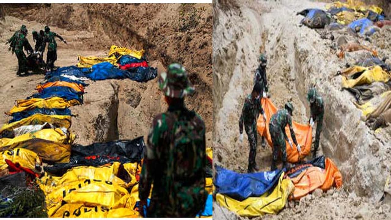 1,234కు చేరుకున్న సునామీ మృతులు 1,234కు చేరుకున్న సునామీ మృతులు