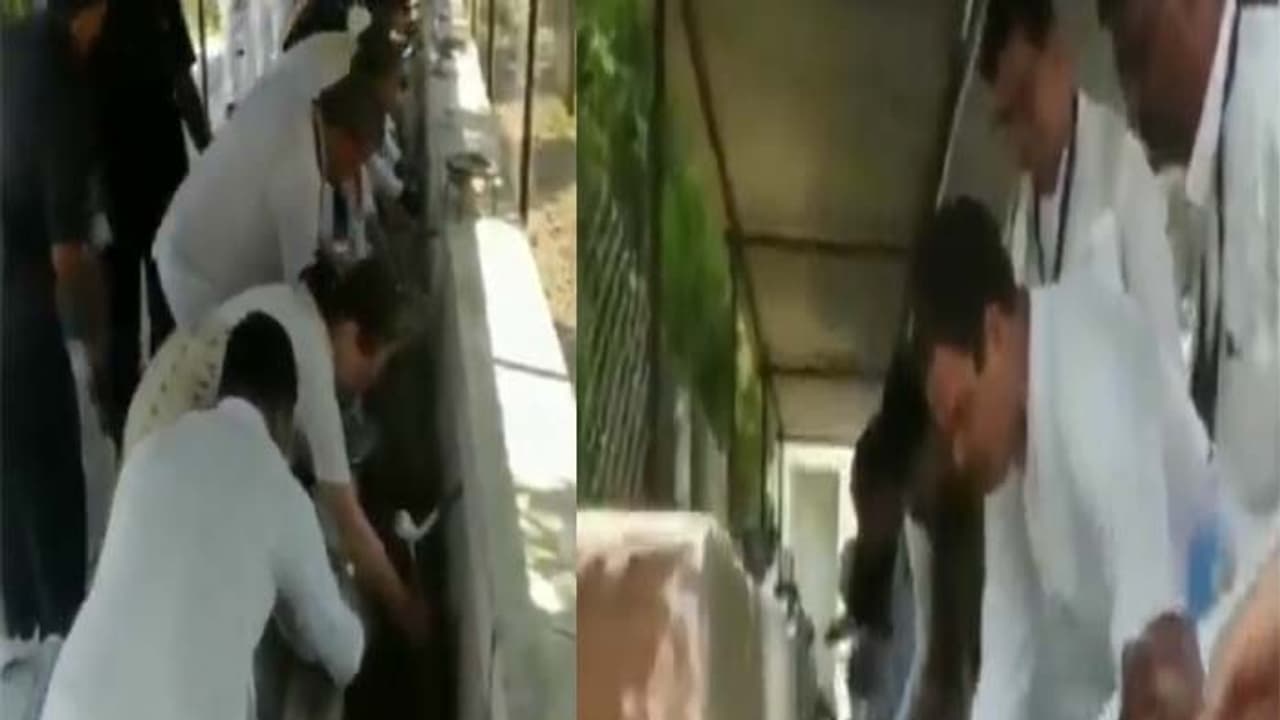 ప్లేట్లు కడిగిన సోనియా,రాహుల్: డిగ్నిటీ ఆఫ్ లేబర్ అంటున్న కాంగ్రెస్ ప్లేట్లు కడిగిన సోనియా,రాహుల్: డిగ్నిటీ ఆఫ్ లేబర్ అంటున్న కాంగ్రెస్