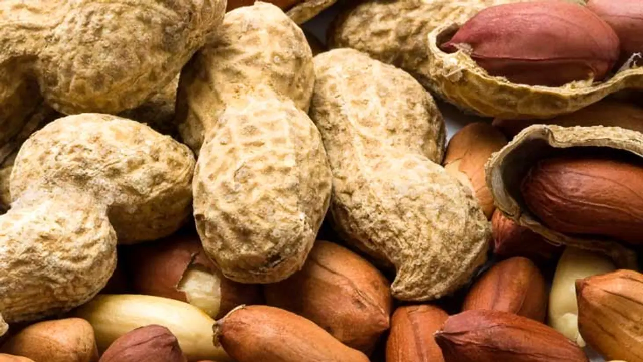 শরীরের অতিরিক্ত চর্বি কমাতে, প্রতিদিন এক মুঠো করে চিনাবাদাম খান