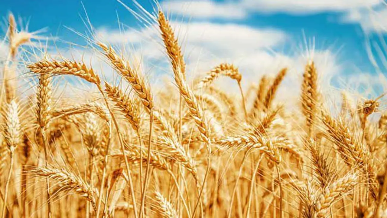 National agricultural fair ‘Krishi Unnati Mela’ begins today