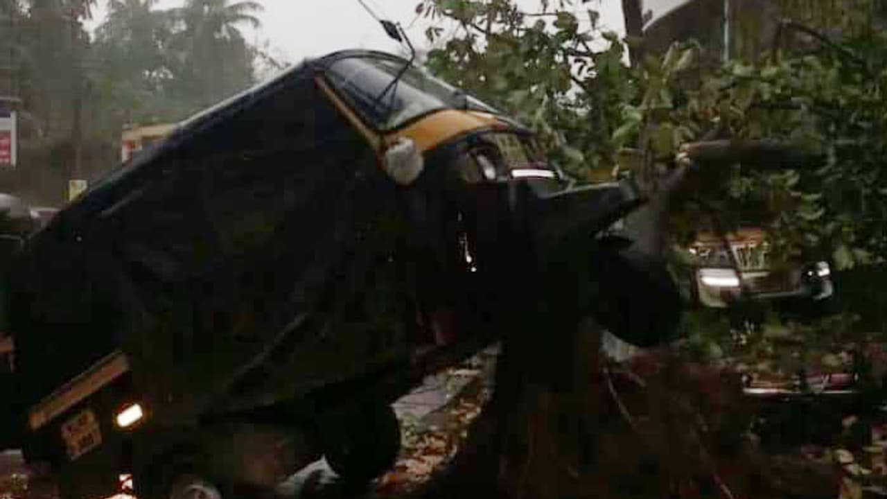 ശക്തമായ കാറ്റ്; ചാലക്കുടിയില് അഞ്ച് കോടിയുടെ നാശനഷ്ടം ശക്തമായ കാറ്റ്; ചാലക്കുടിയില് അഞ്ച് കോടിയുടെ നാശനഷ്ടം