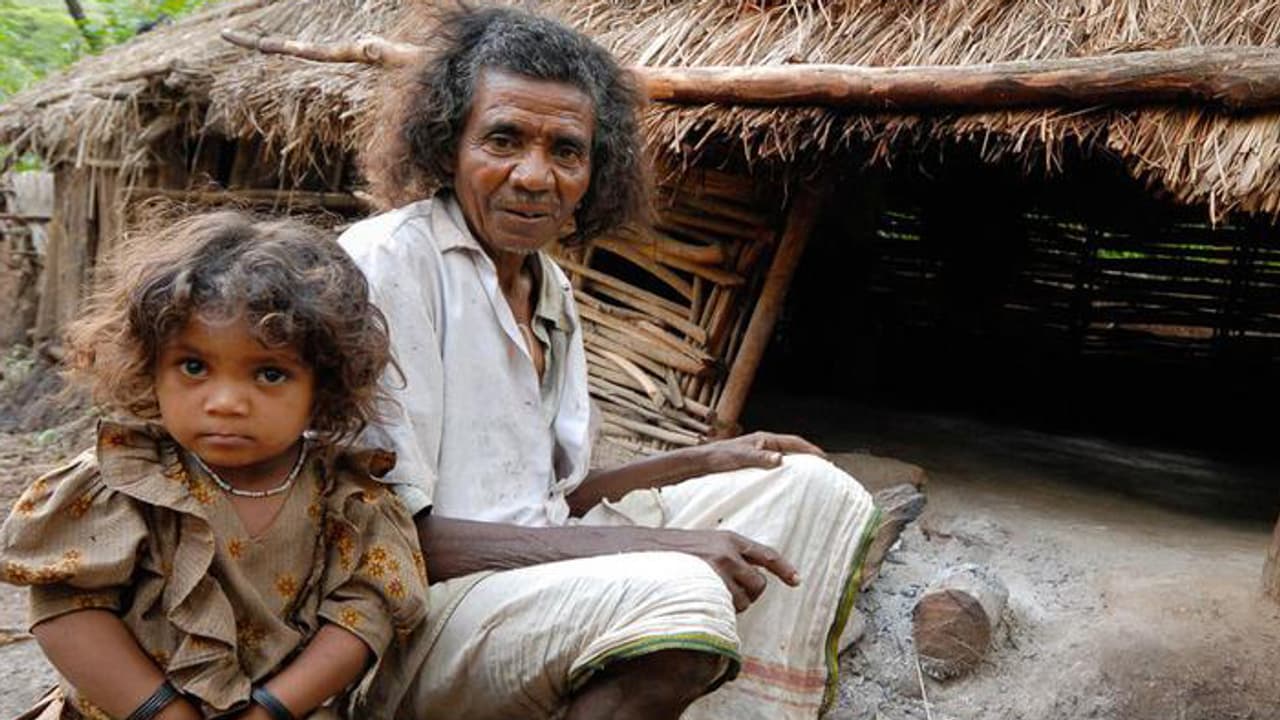 കടുവകള്‍ക്കിടയില്‍ ജീവിക്കാന്‍ വേണ്ടി നിയമയുദ്ധം നടത്തിയവര്‍