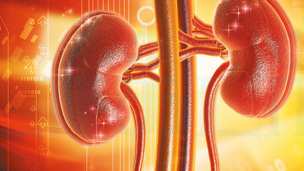 ഉറക്കക്കുറവും വൃക്ക രോഗവും തമ്മില് എന്തെങ്കിലും ബന്ധമുണ്ടോ? ഉറക്കക്കുറവും വൃക്ക രോഗവും തമ്മില് എന്തെങ്കിലും ബന്ധമുണ്ടോ?