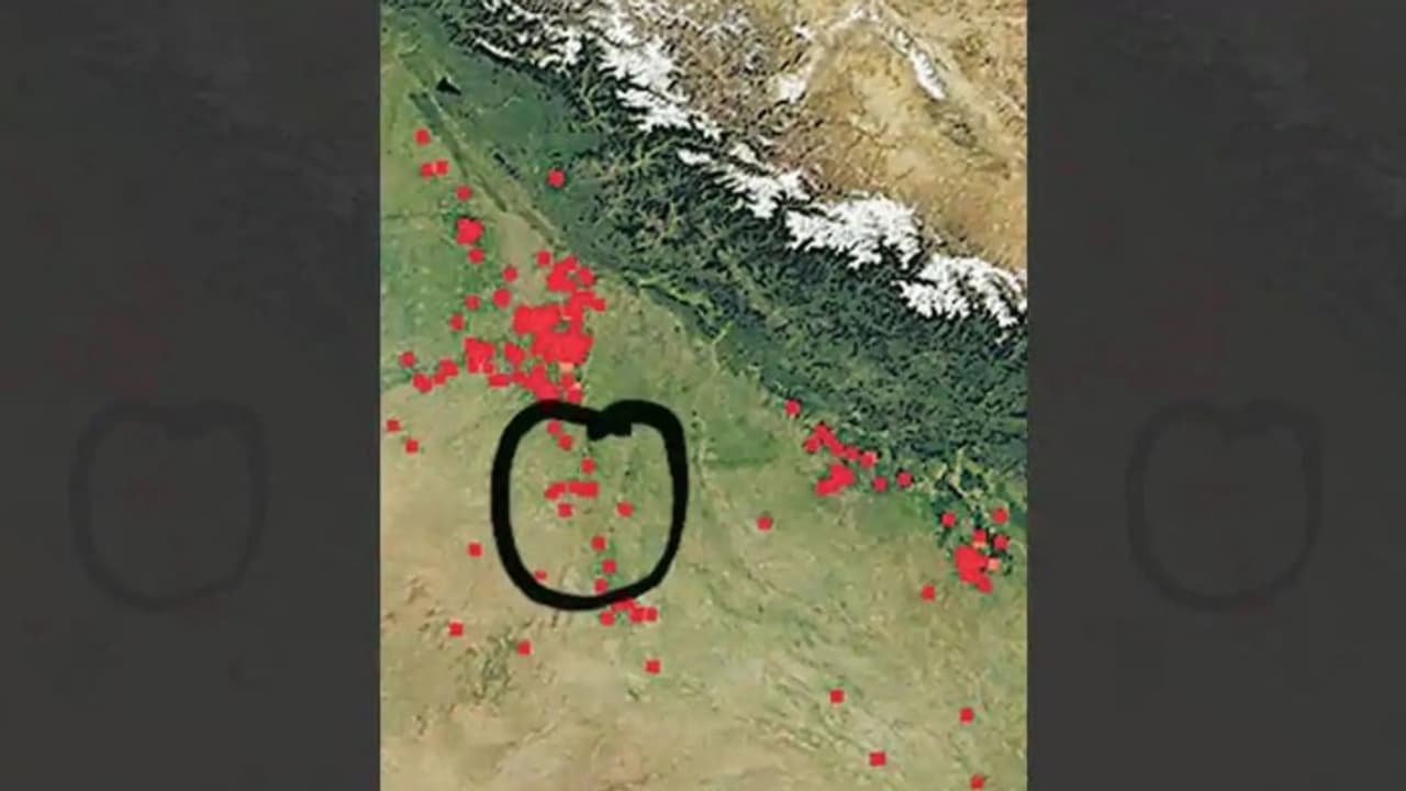 NASA satellites spot waste burning in Delhi; govt agencies to step up vigil
