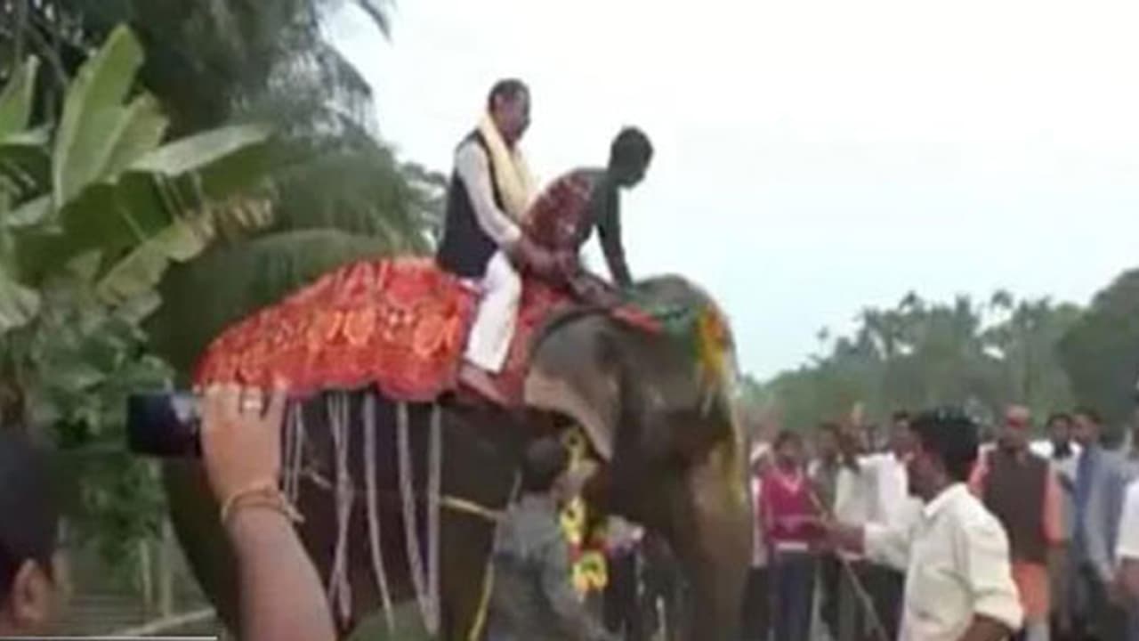 ఏనుగు మీద నుంచి జారిపడ్డ డెప్యుటీ స్పీకర్..వీడియో వైరల్ ఏనుగు మీద నుంచి జారిపడ్డ డెప్యుటీ స్పీకర్..వీడియో వైరల్