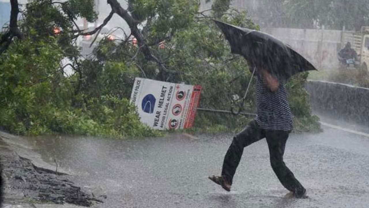 Cyclone Titli kills eight in Andhra Pradesh, damages properties worth crores; trains, flights cancelled