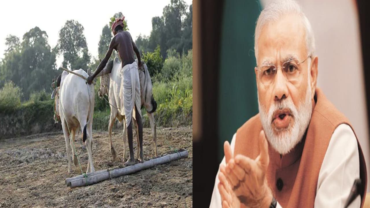 ಫೆ.1ರೊಳಗೆ ರೈತರಿಗೆ ಭರ್ಜರಿ ಪ್ಯಾಕೇಜ್‌?