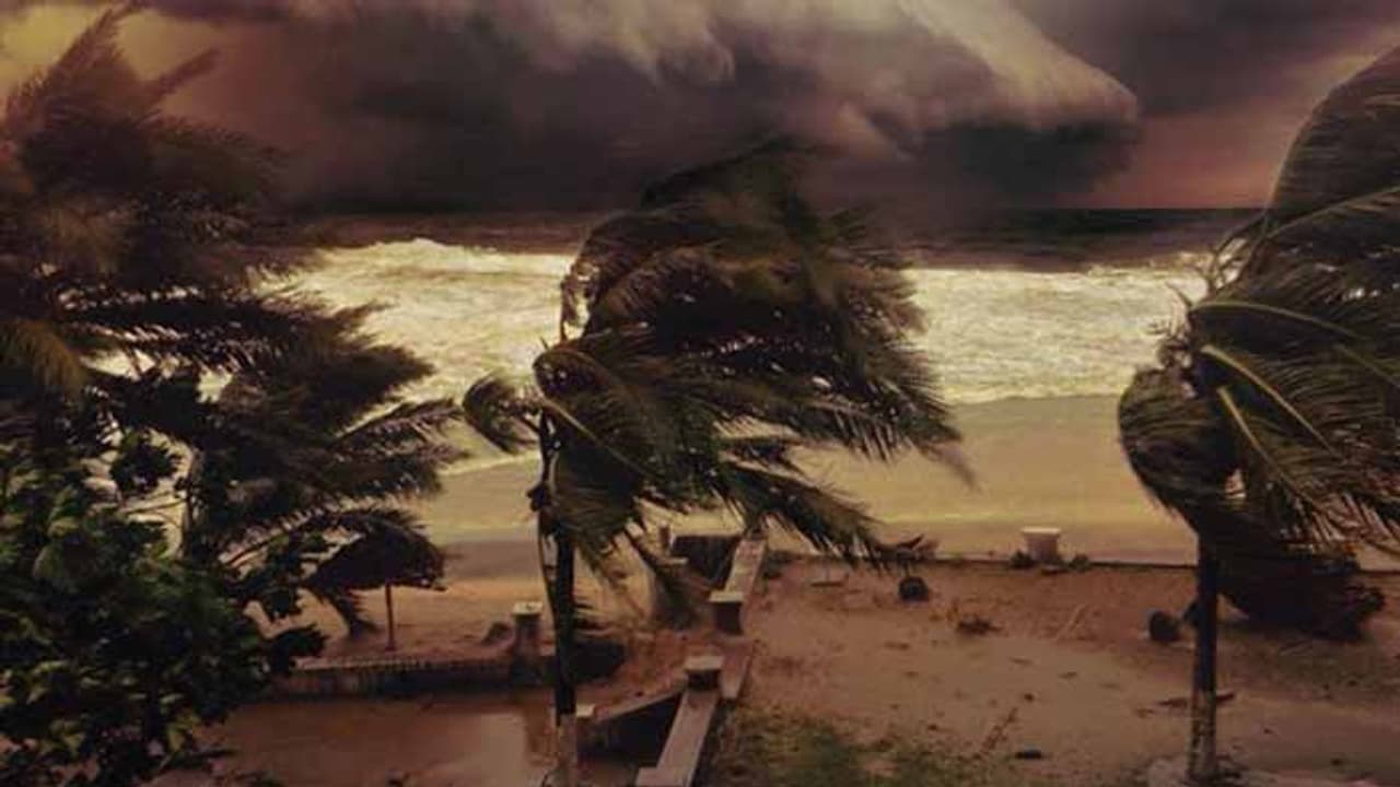 తిత్లీ తుఫాన్‌కు 8 మంది బలి.. ఉత్తరాంధ్రలో భయానక పరిస్థితి