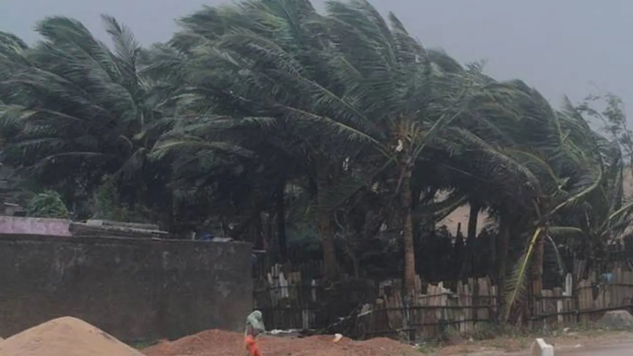 கரையைக் கடந்த டிட்லி புயலால் தமிழகத்தில் மழைக்கு வாய்ப்பில்லை! கரையைக் கடந்த டிட்லி புயலால் தமிழகத்தில் மழைக்கு வாய்ப்பில்லை!