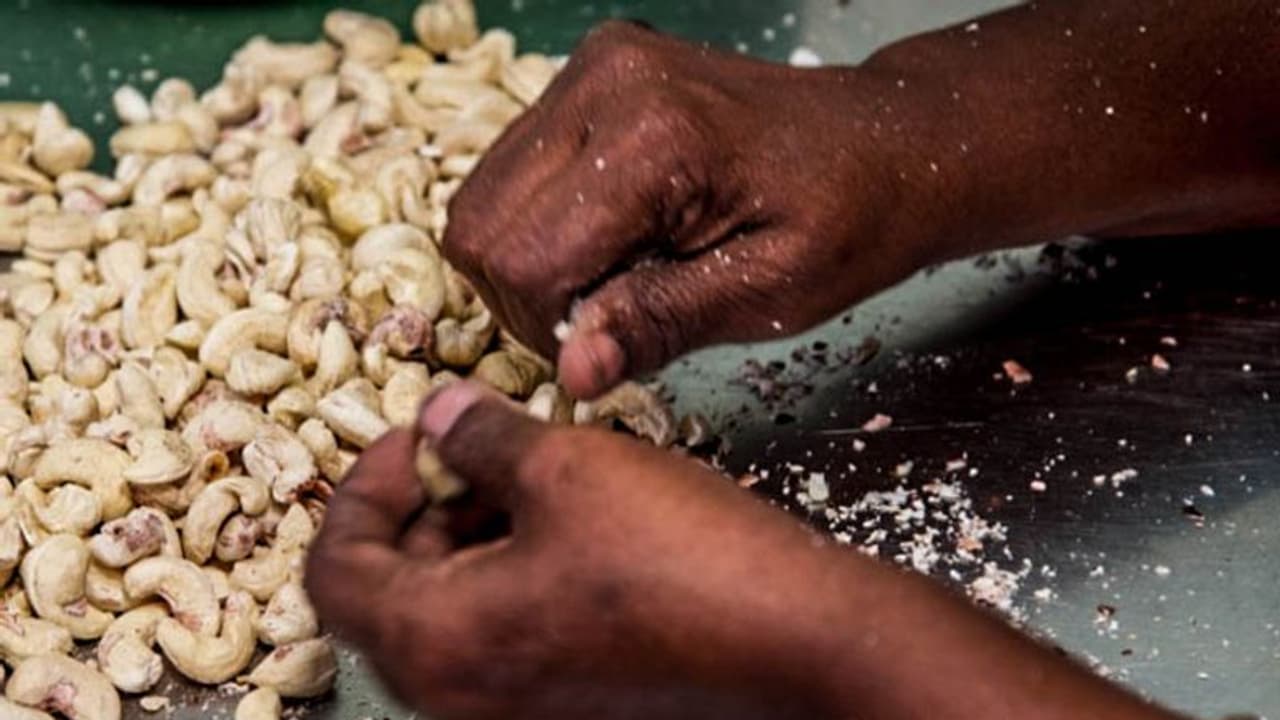സംസ്ഥാനത്തെ കശുവണ്ടി വ്യവസായികള് വീണ്ടും സമരത്തിലേക്ക് സംസ്ഥാനത്തെ കശുവണ്ടി വ്യവസായികള് വീണ്ടും സമരത്തിലേക്ക്